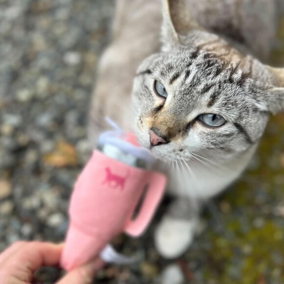 Trendy Tumbler Cat Toy Drink – The Perfect Gift for Cat - Picture 10 of 10